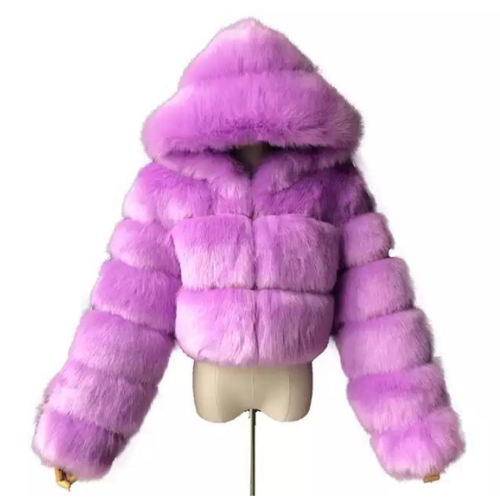 Viola