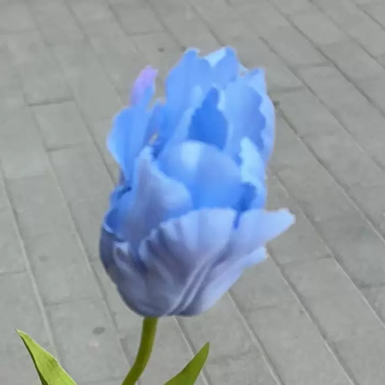 PU ciel