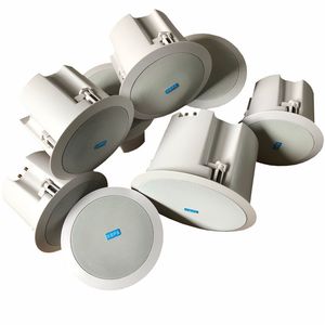 WiFi天花板扬声器 (WiFi有源扬声器内置5.1通道功率放大器，带低音输出，无信号自动待机) - Product Image 6