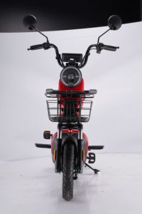 Saige New <strong>EEC</strong> Ebike <strong>Chinese</strong> 500W Electric Roller, Adults Electric Roller with Pedal - Product Image 4
