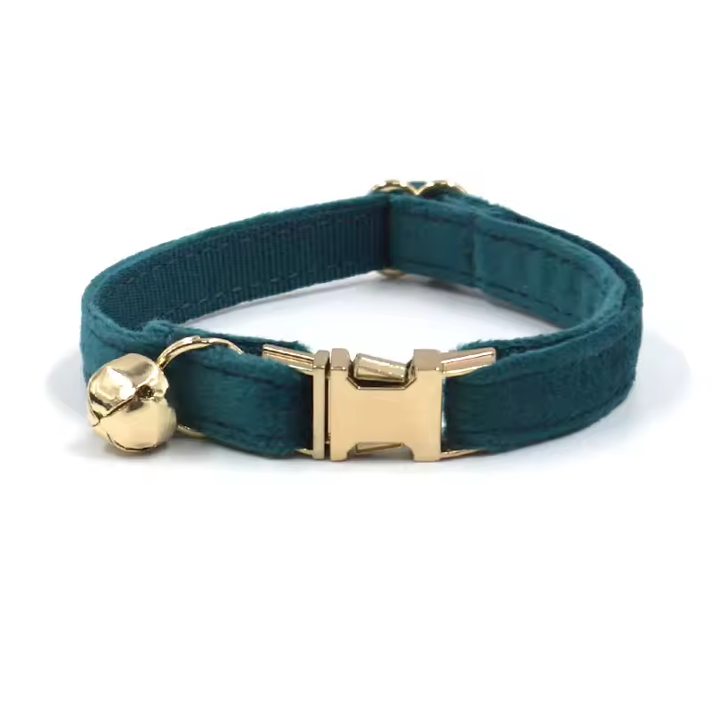 Teal with Bell