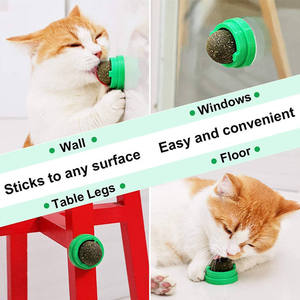 Nuevos juguetes para masticar mascotas, gatitos seguros y saludables, bolas de hierba gatera comestibles, Limpieza de dientes, aperitivos - Product Image 4