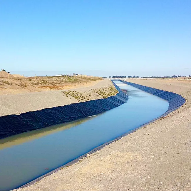 Прямая поставка с завода, оптовая продажа, геомембранная подкладка из водонепроницаемого материала, аквариум для Рыбоводных хозяйств, геомембрана, пара, 1 мм