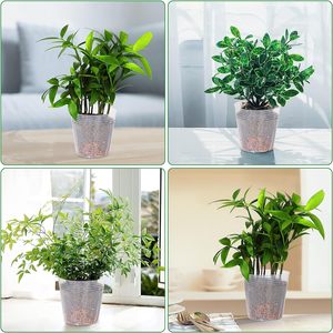 Bitkiler için fide saksısı yumuşak şeffaf plastik ekici 5 inç bitki vazosu şeffaf Pot - Product Image 6