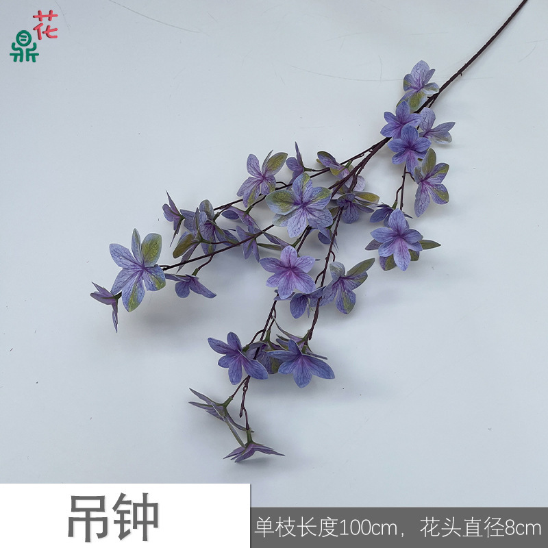 Campanule LO violet clair