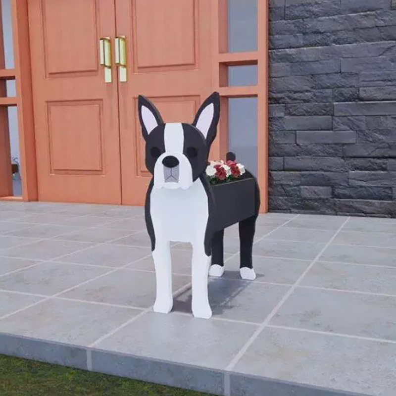 Terrier de Boston