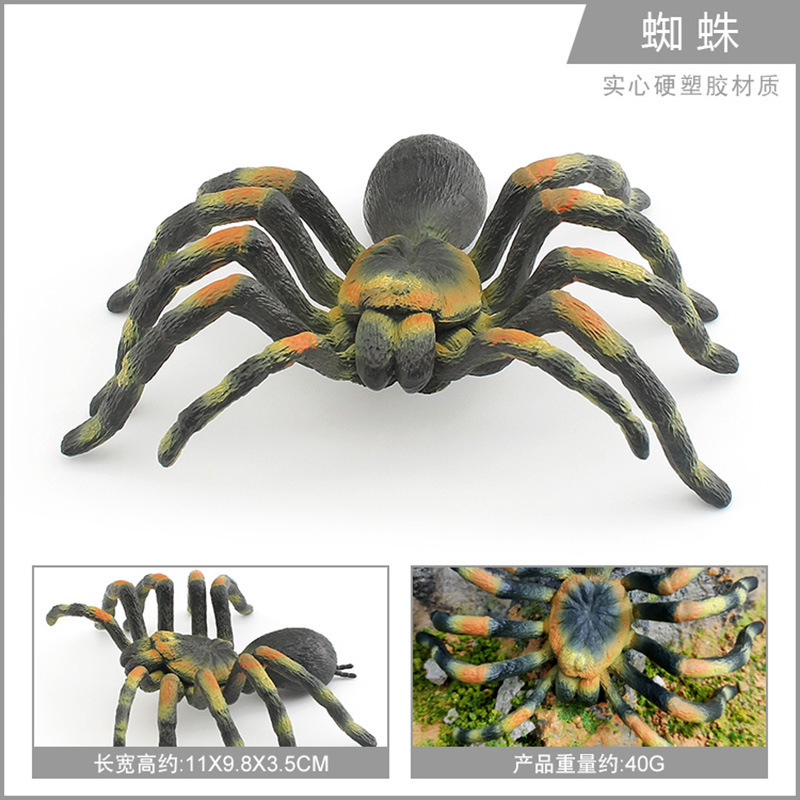 colorful PL127-2632 Spider 40g
