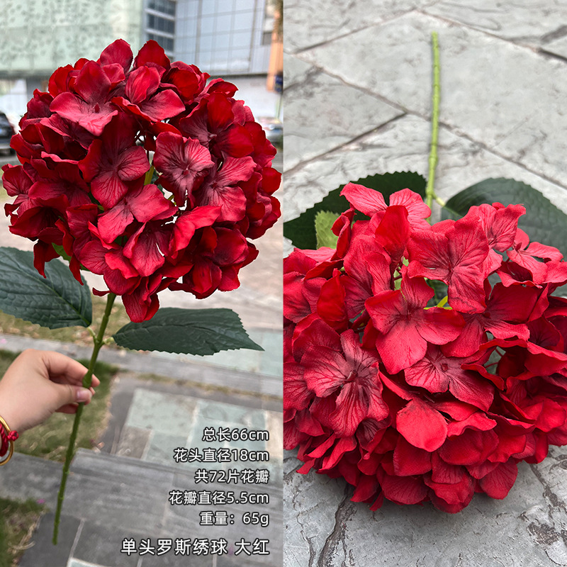 Hydrangée rose rouge à une tête