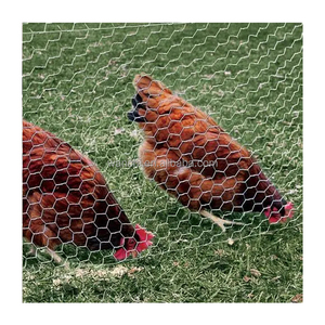 0.5mm Wire Diameter 1.5cm Hole Galvanized Chicken Hexagonal Wire <strong>Mesh</strong>/ Hexagonal <strong>Mesh</strong> <strong>Fence</strong> /Hexagonal Wire <strong>Netting</strong> - Product Image 5