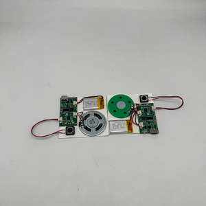 Большая память 8 МБ кнопка записи пользовательских USB программируемый модуль записи голосовой музыки чип для поздравительных открыток и подарков - Product Image 2