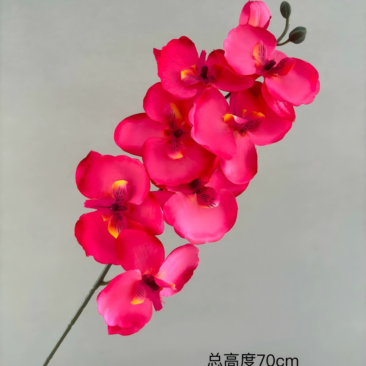 Rose red