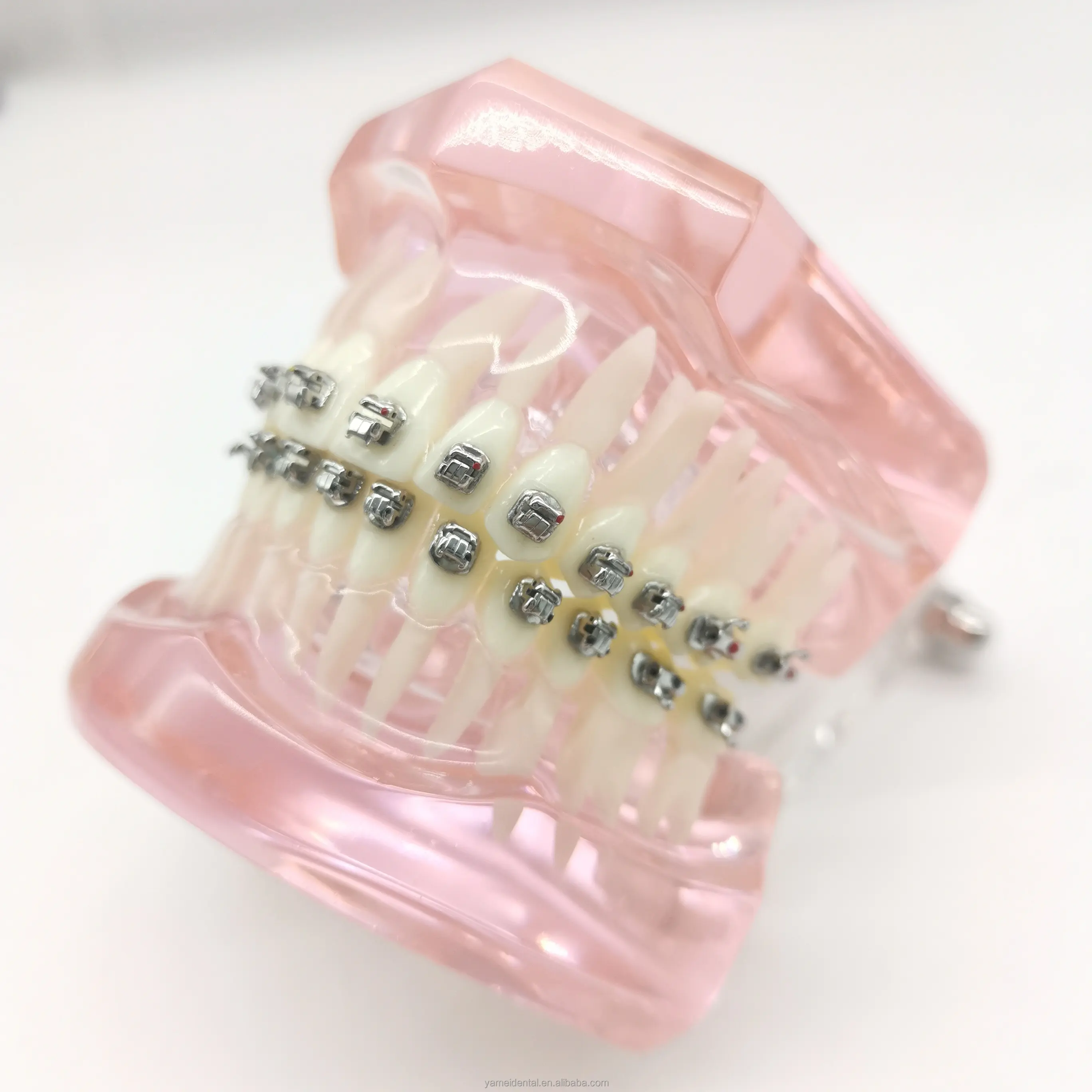 Yamei ortodôntico profissional dispositivos médicos dentista auto-ligado suporte plus 8 padrão torque com gancho