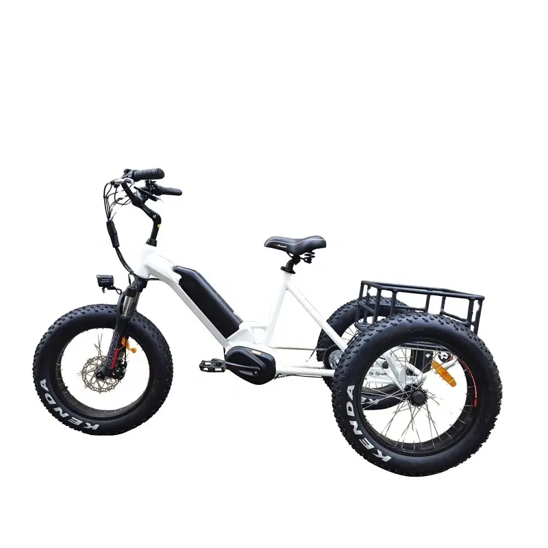 素晴らしいデザインの電動カーゴバイク3輪M400ミッドドライブモーターネクサス3スピード電動自転車