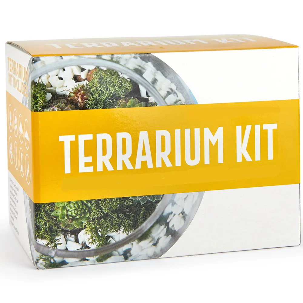 Kit de plantas terrário barato, venda quente do reino unido preço barato diy kit de plantas terrário interior e externo suculento e cacti para adulto e crianças