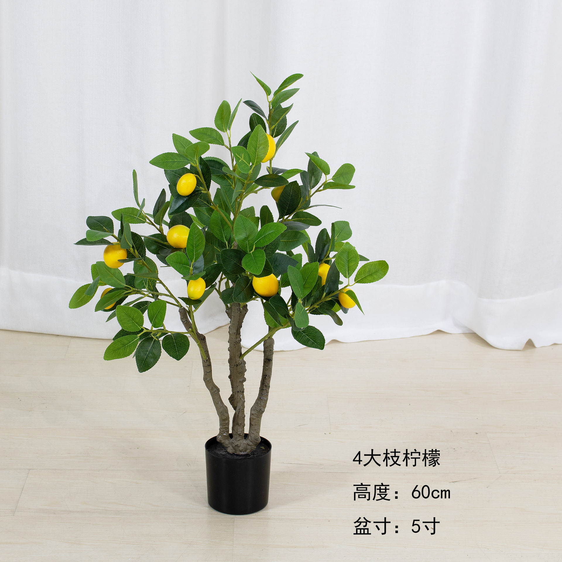 Citron 60-150cm