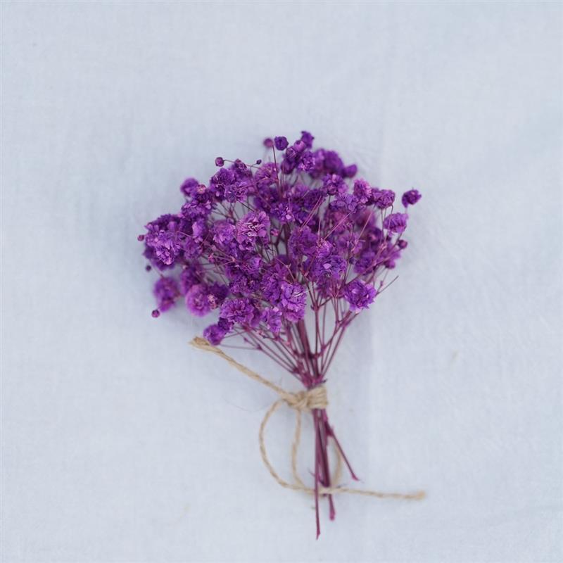 Ramo de Aliento de Bebé Morado N.º31