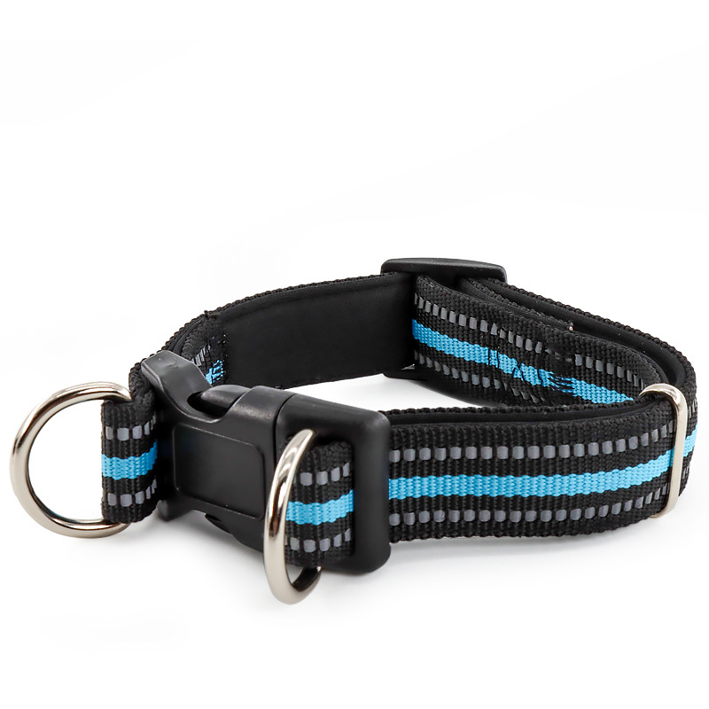 Collier réfléchissant à double anneau en D - bleu