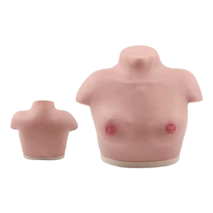 KyrenMed Advanced Female Breast Inspection and <strong>Palpation</strong> Model Breast Self Examination Model for Clinical Teaching - Product Image 2