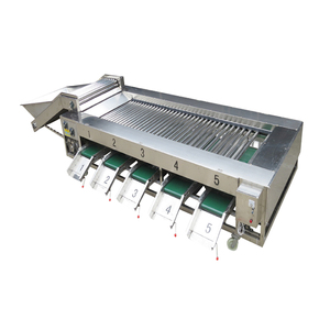 ジャガイモ仕分け機TCA果物野菜分類機 - Product Image 5