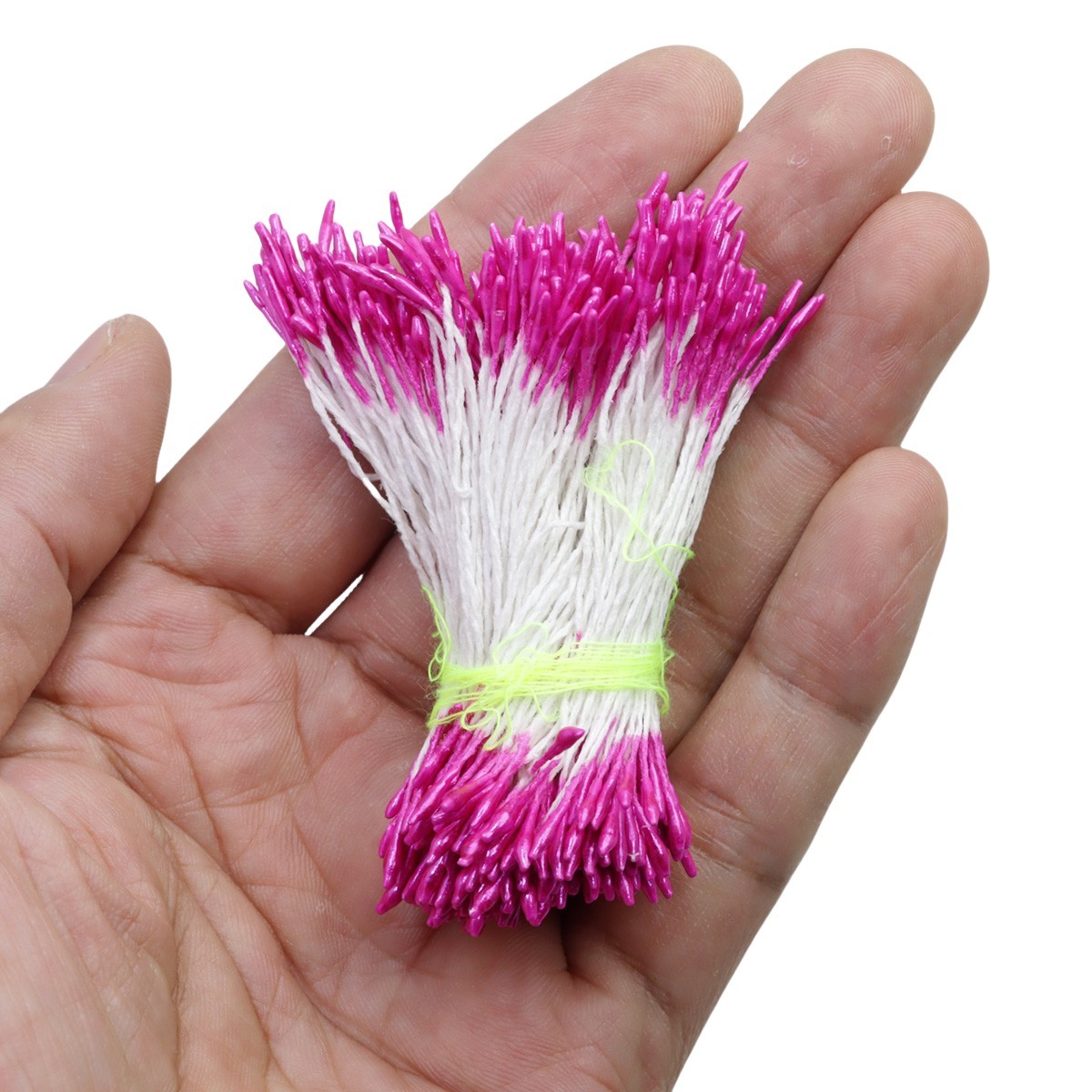 fucsia 11