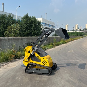 <span class=keywords><strong>Mini</strong></span> Skid chỉ đạo miễn phí vận chuyển giá rẻ CE/EPA New vườn nhỏ loader theo dõi <span class=keywords><strong>mini</strong></span> Skid chỉ đạo Bộ nạp với xô đào hầm quay cày - Product Image 2