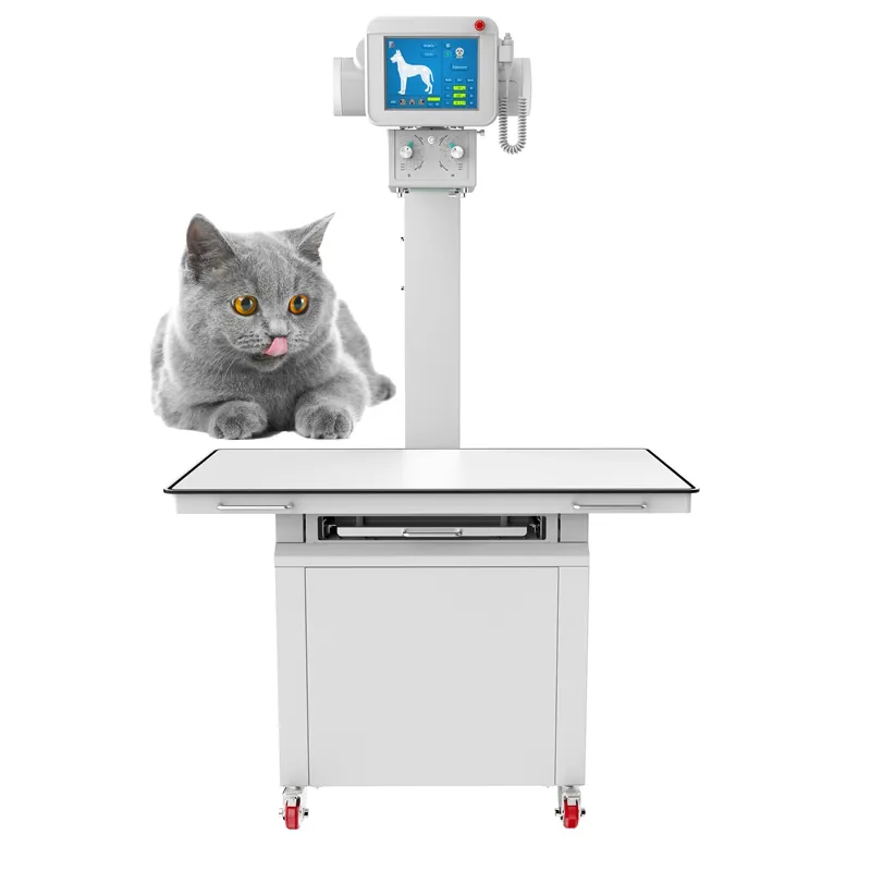 Macchina a raggi x digitale veterinaria a raggi x 200mA 400mA macchina per imaging medico a raggi x veterinaria macchina a raggi x veterinaria