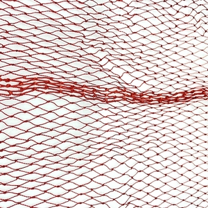 אלז 'ריה סרדין נטו nylon210d/4רובדי 100 מטר