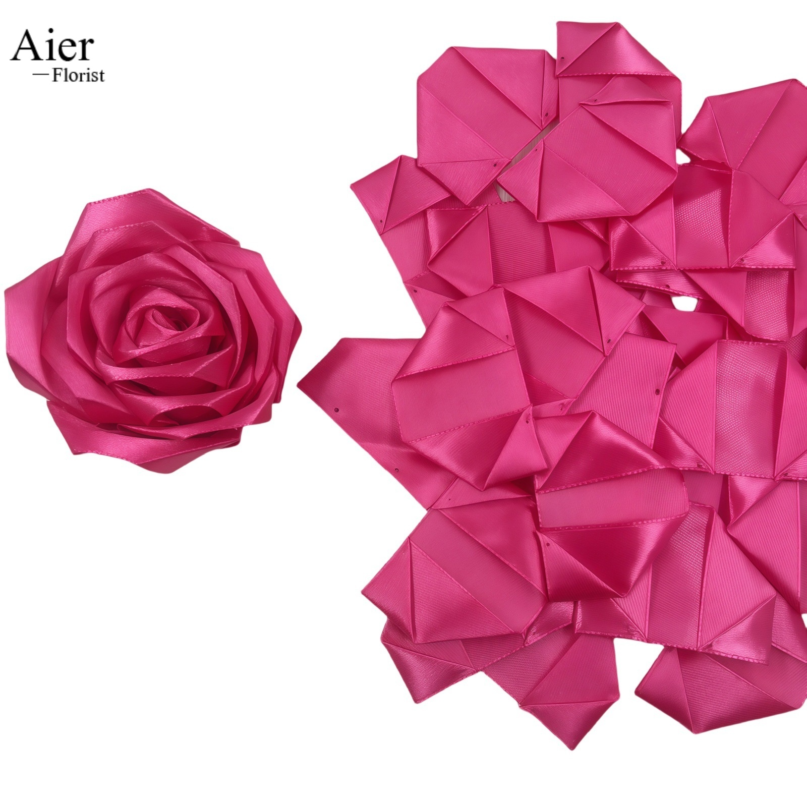 rosa rosa