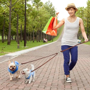 Double Dog Leash for Two Small Dogs Puppy Leather NoTangle Dual Leash Coupler Strength Tested for <strong>Walking</strong> and Training 2 Dogs - Product Image 2