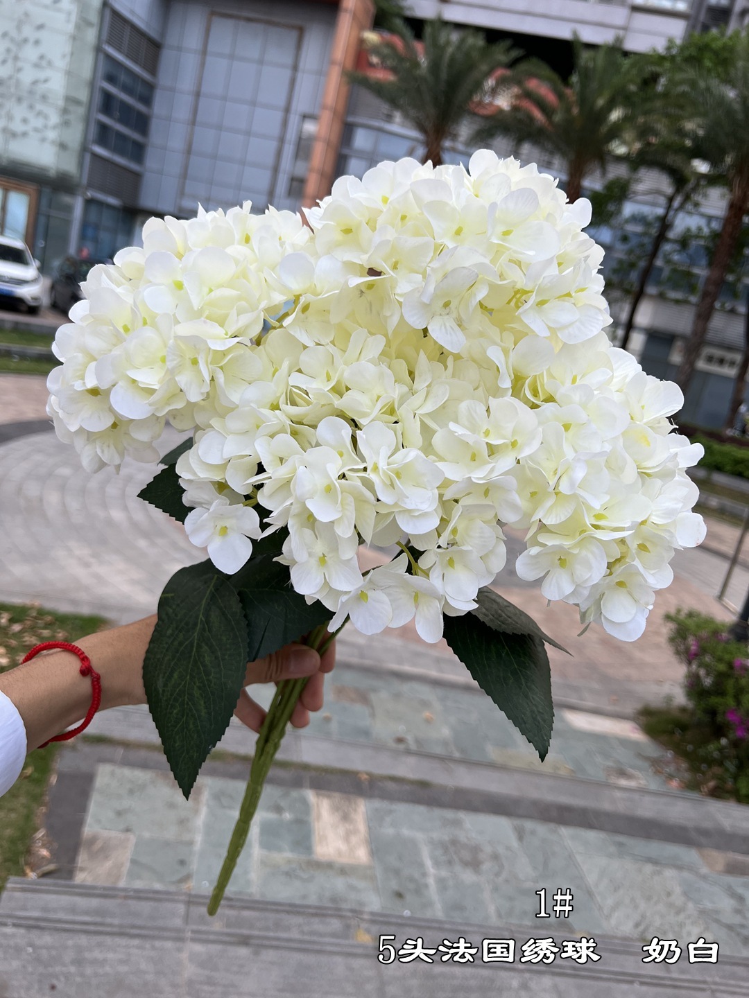 ซุค01
