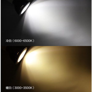 Boyid Bóng Đèn Led COB PAR38 PAR30 PAR20 20 20W/15W/10W E27 Đèn Chiếu Sáng LED COB Màu Trắng Lạnh Ấm Áp E27 - Product Image 6