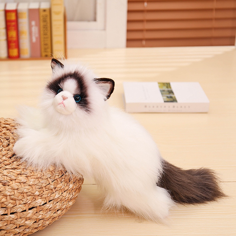 Chat Ragdoll
