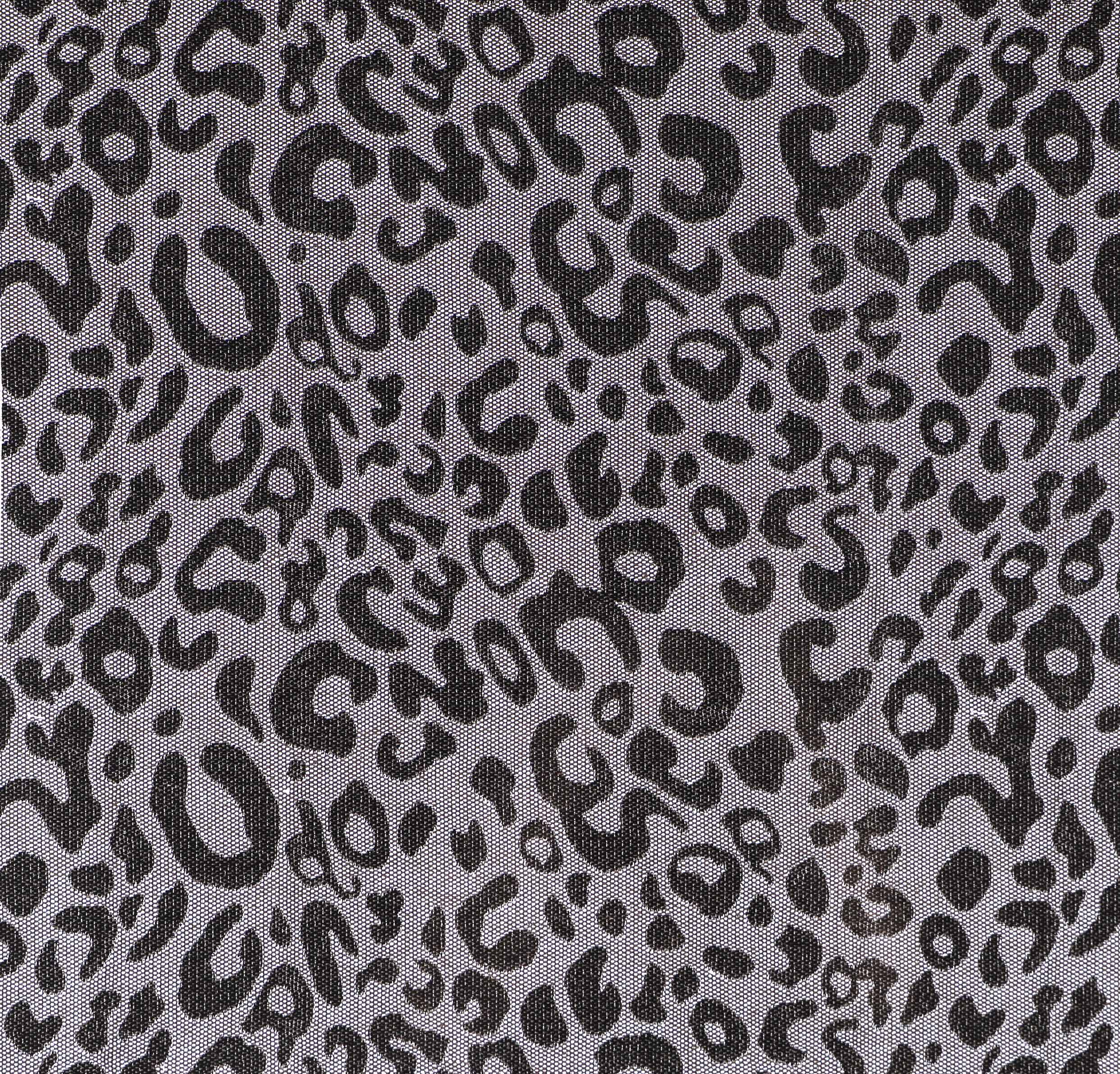 Leopard1