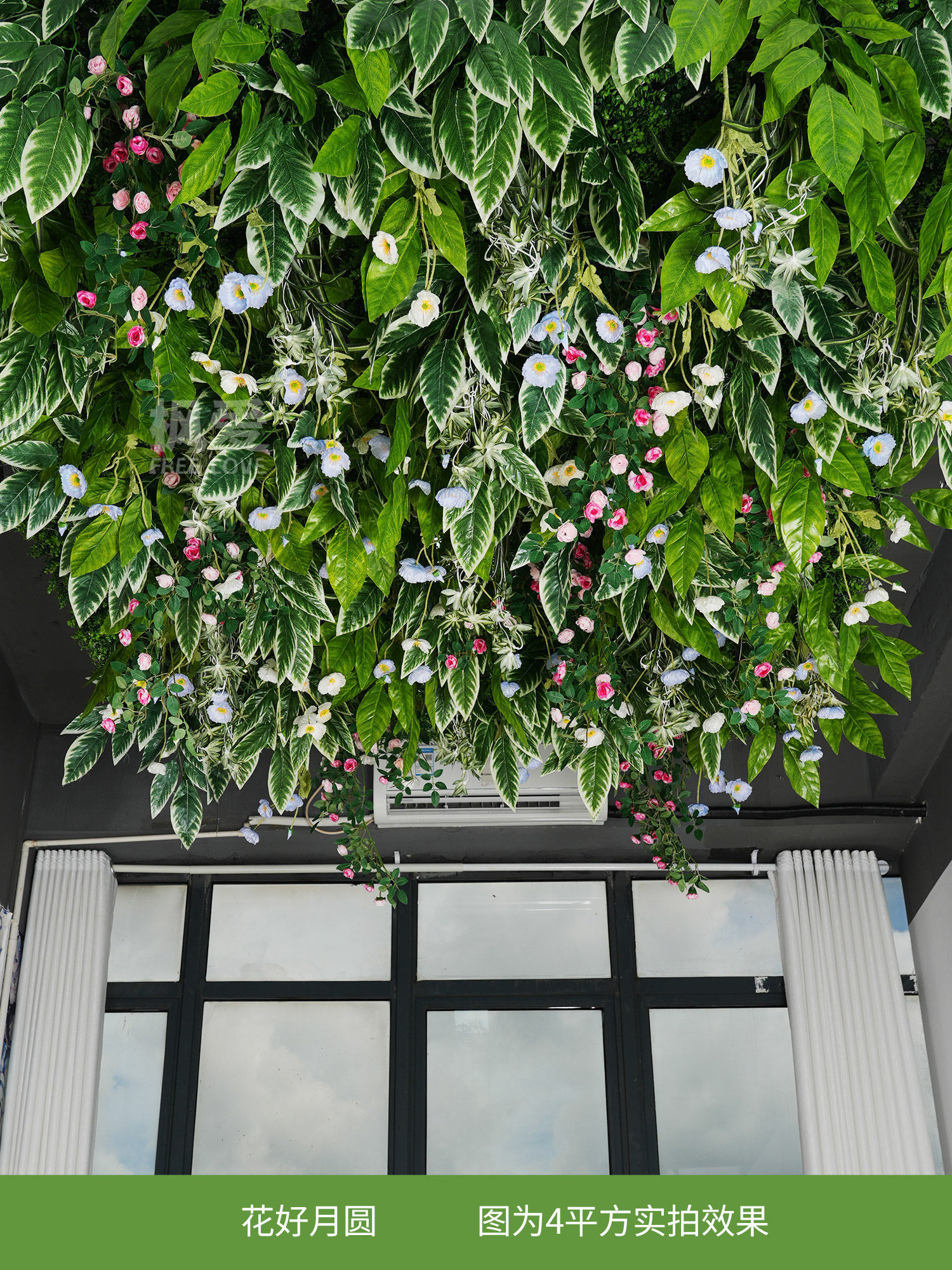 Average price per square meter-flower bloom-moon full round