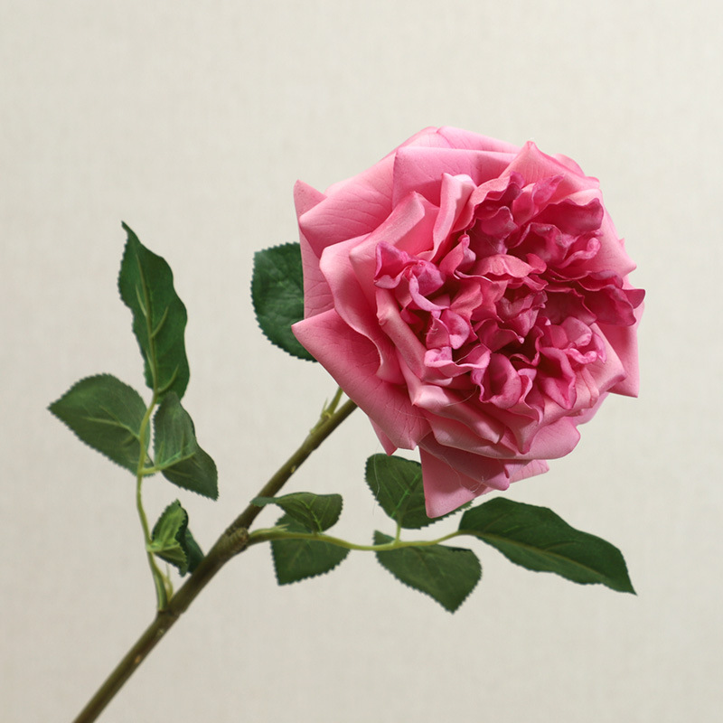 Rose Madder2