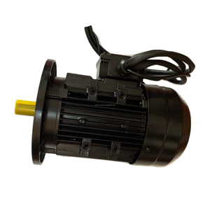 Motor Bldc sin escobillas de 1KW/2KW/3KW 24VDC/48VDC/72VDC 3000RPM con ajuste de velocidad PWM, Sensor Hall, freno, Motor de barco, ventilador de rotación, uso - Product Image 2