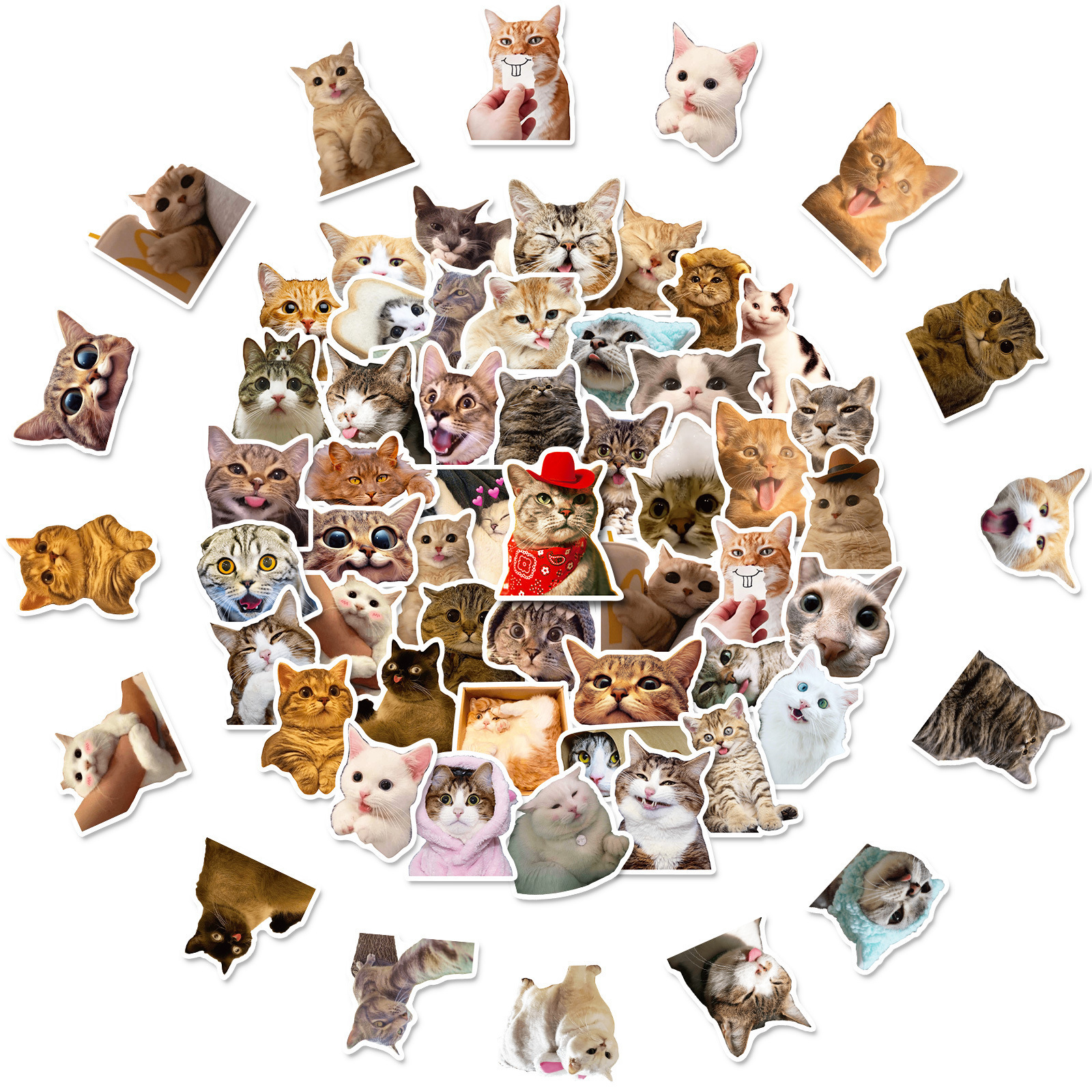 T01040936 - Black cat head 50 sheets