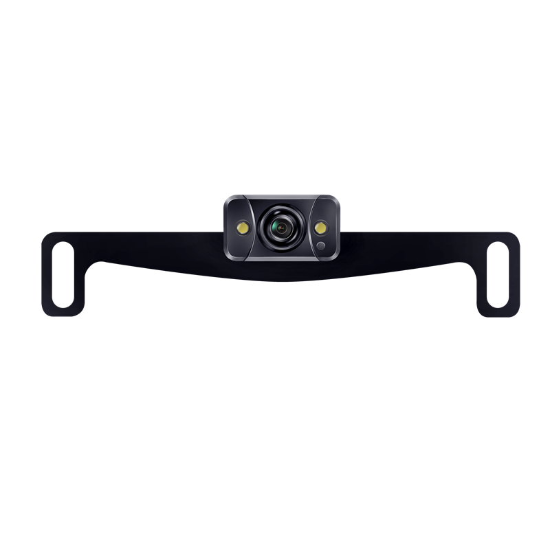 Strip Mount for US License Plate