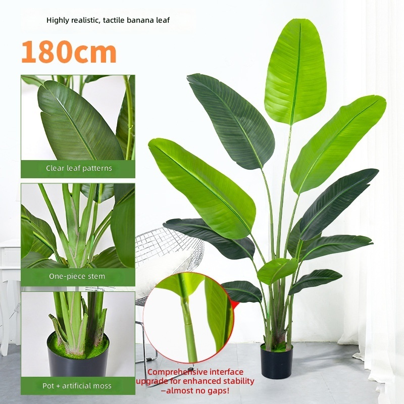 180cm high sim traveler banana-real hand leaf 11 leaves-black pl