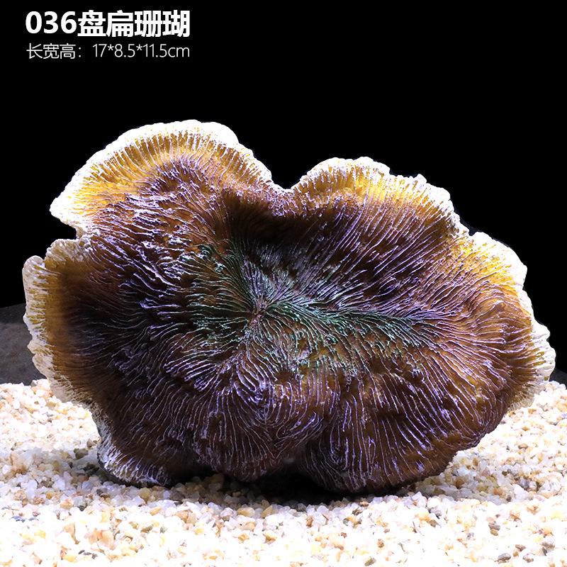 Coral in the shape of a cake