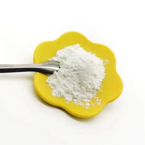 Best Price Industrial Grade TIO 2 Powder Anatase Titanium Dioxide &amp; Rutile Titanium Dioxide for Coatings