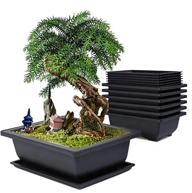 Çin toptan satın saksı bonsai kreş eğitim tencere