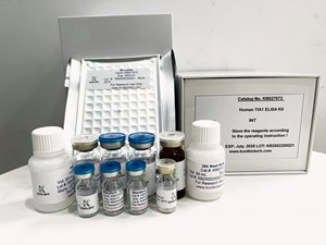 Serum ve plazma örneklerinde doğru LGALS7 tespiti için İnsan Galectin-7 ELISA seti - Product Image 5