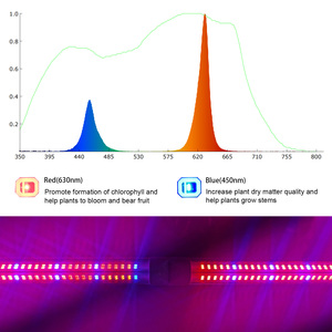 Liweida 20 <strong>Watt</strong> V Shape Tube Plant <strong>Led</strong> Light <strong>Led</strong> Grow Red <strong>Blue</strong> Customized Spectrum Smd Indoor T8 0.9m 3ft Growth Lamp - Product Image 2