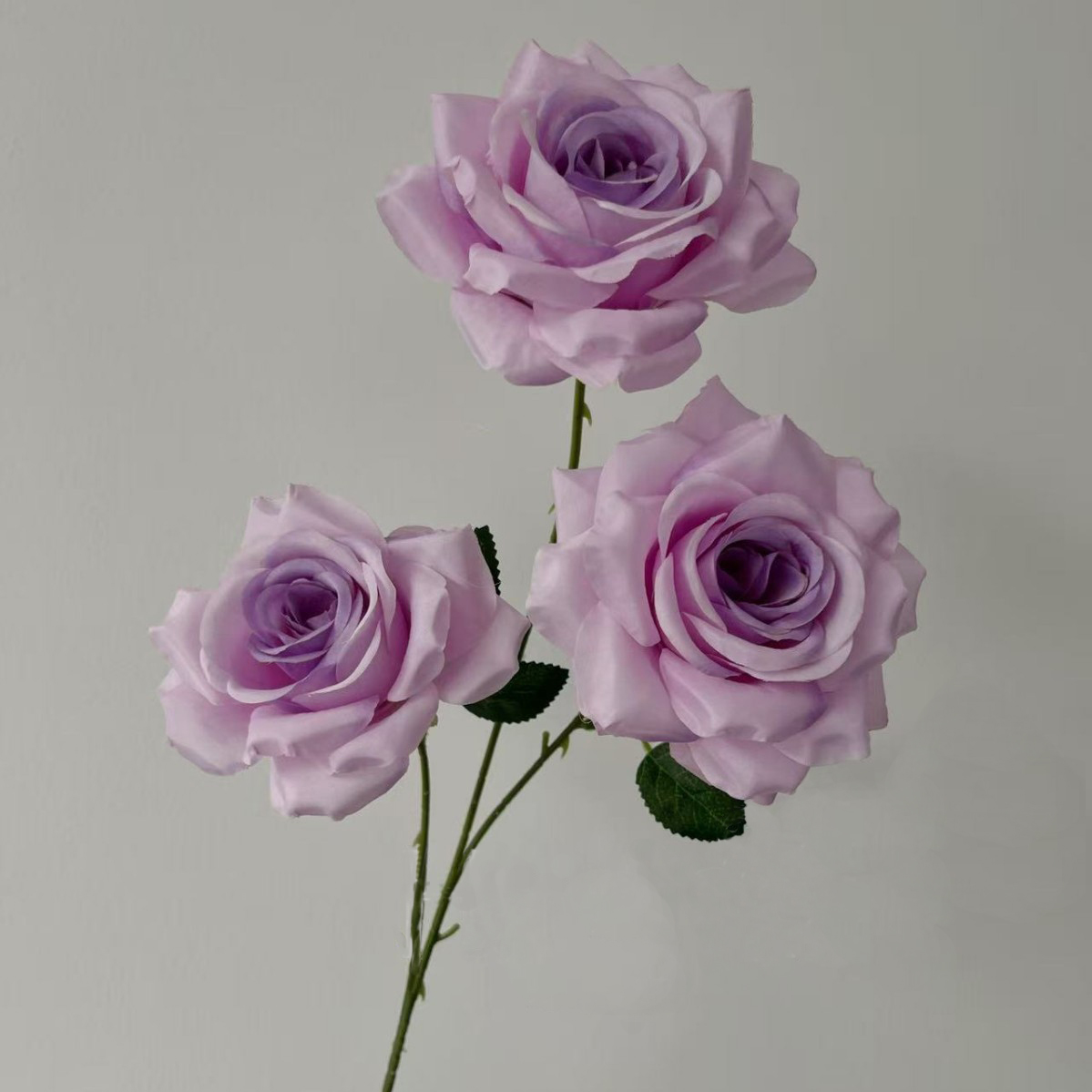 Coeur pourpre profond