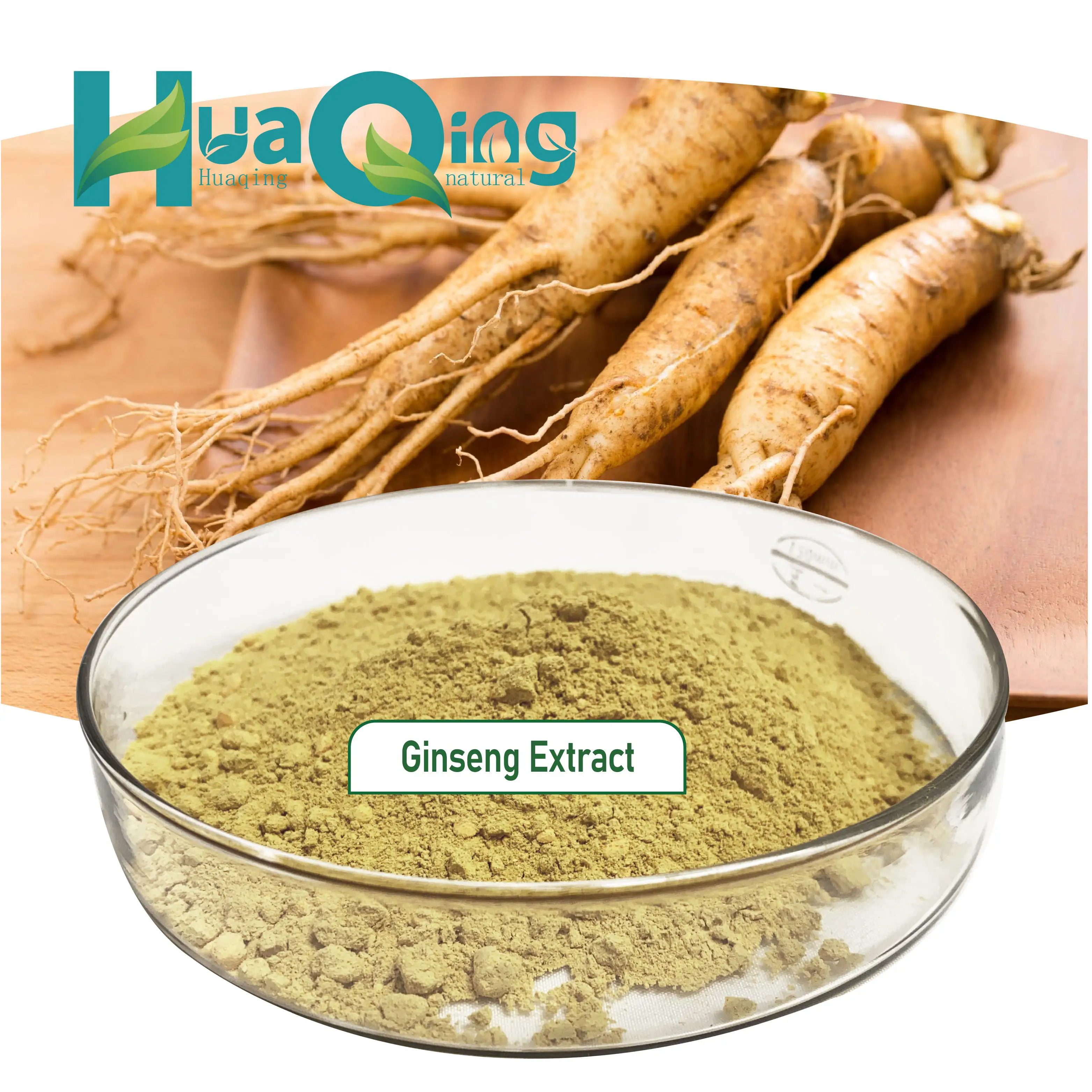 Best Price Ginsenoside 80% Ginseng Extract