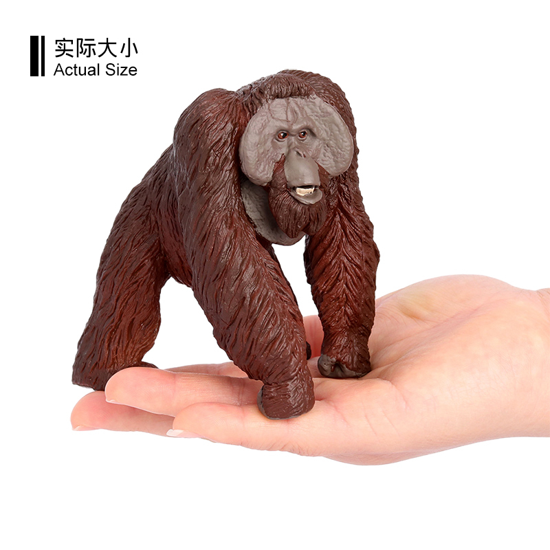 3171 Orangután 2024 nuevo