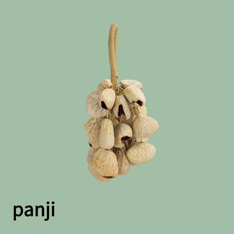 Panji-M