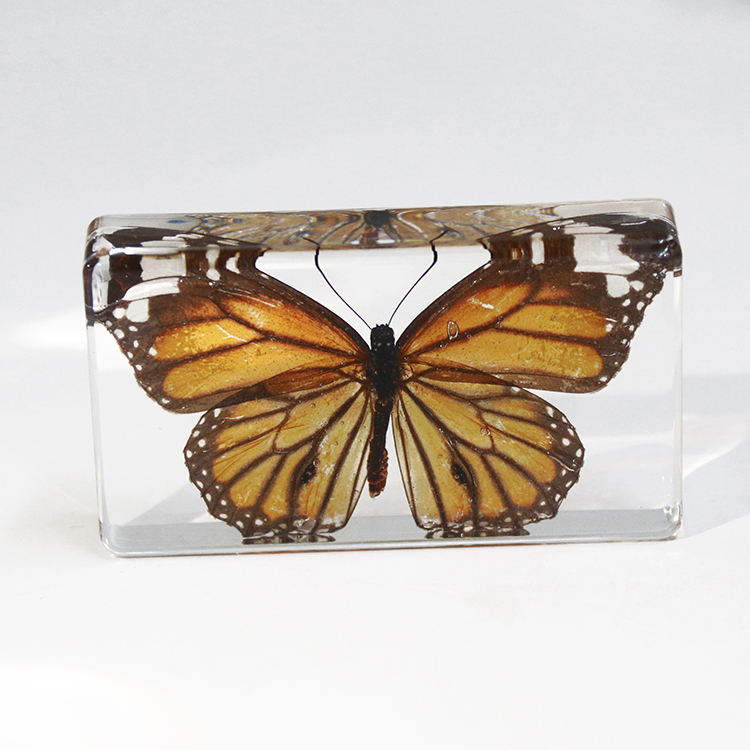 No11.MOQ12PCS