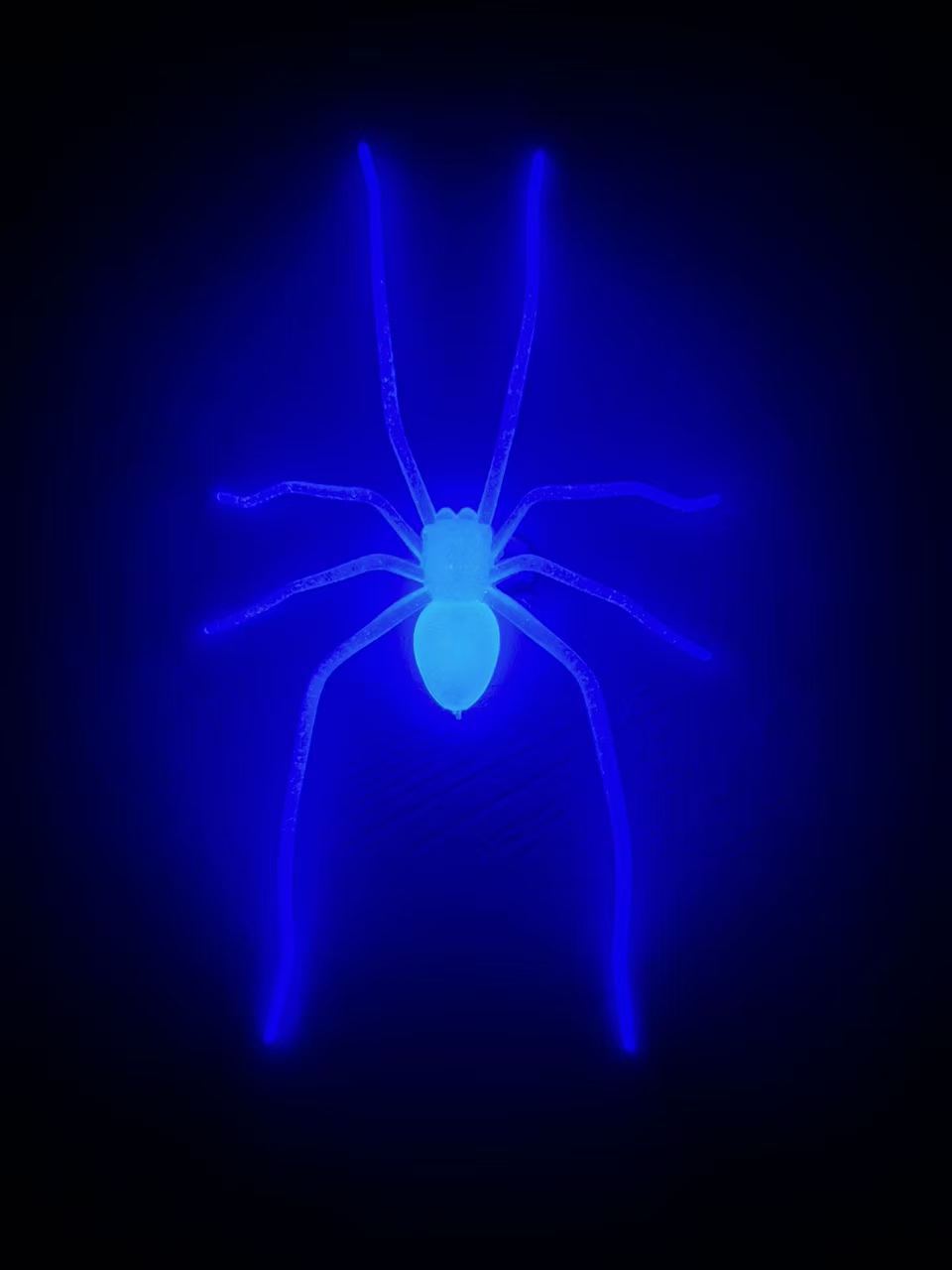 bleu lumineux